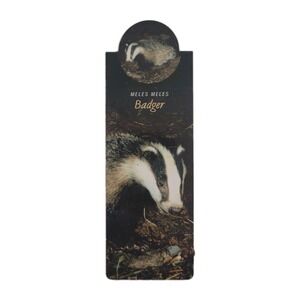 Cardmarks Badger Meles Wild Animals Magnetic Magnet UK Company If #2405, Y2k 00s